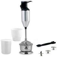 Buy Anjalimix 200 W Metalica ABS Plastic Blender - Silver