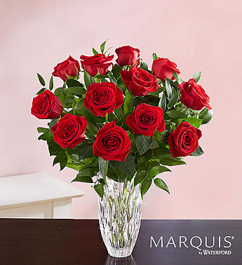 Marquis by Waterford® Premi...