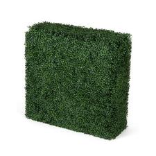 Portable Boxwood Hedge - UV Stabilised (75cm x 75cm)