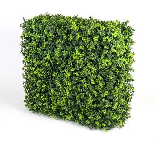 Portable Elm Hedge - UV Sta...