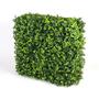 Portable Elm Hedge - UV Sta...