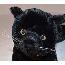 Black Kitty for People with Alzheimer's