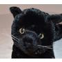 Black Kitty for People with Alzheimer's