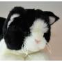 Small Black & White Cat for People with Alzheimer's and Caregivers