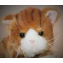 Small Ginger Tabby Cat for People with Alzheimer's and Caregivers
