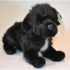 Newfoundland Dog for People with Alzheimer's and Caregivers