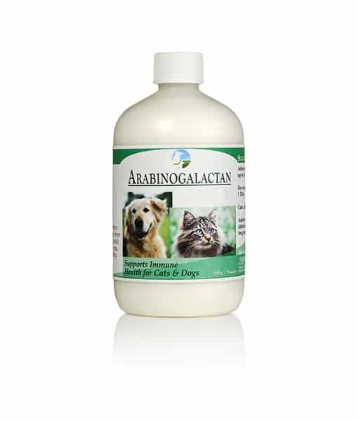 Arabinogalactan | Prebiotic...