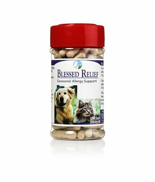 Blessed Relief for Dogs