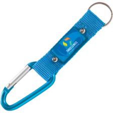 Retro Carabiner Keyring