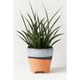 Adara 5” Planter