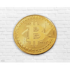 Bitcoin Gold Coin Physical Coin Collectors Piece Real