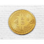 Bitcoin Gold Coin Physical Coin Collectors Piece Real