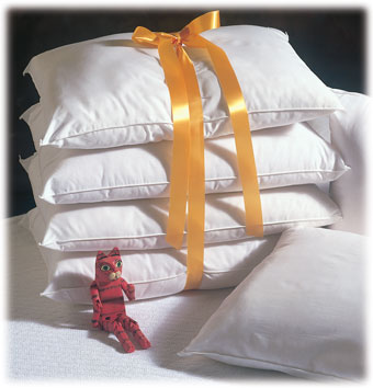 Hotel Pillows & Covers