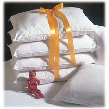 Hotel Pillows & Covers