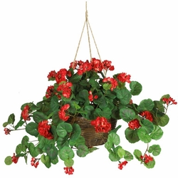 24" Geranium Hanging Basket...