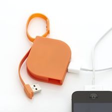 PowerLeafBackupBattryF13