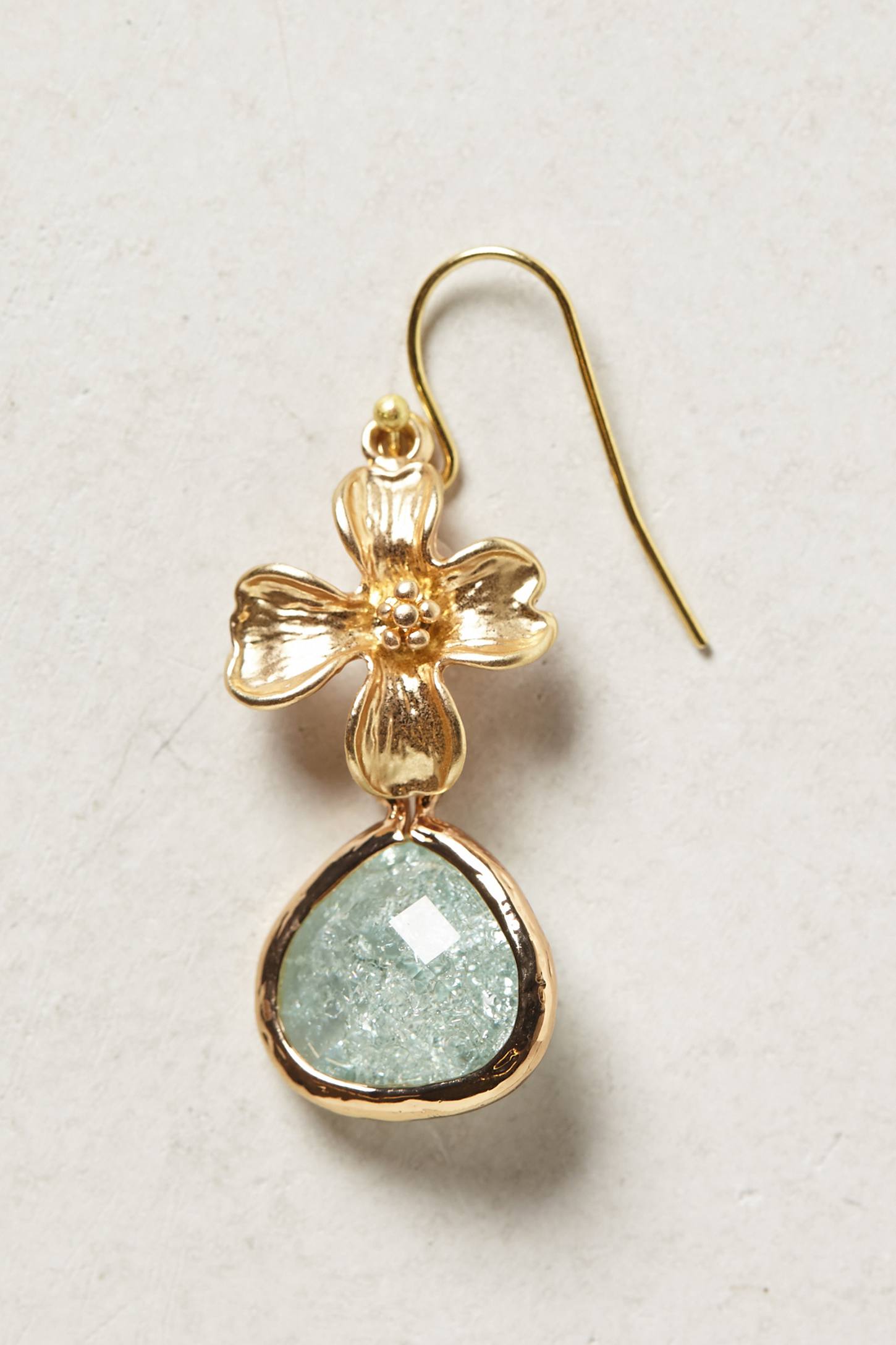 Dittany Drop Earrings - ant...