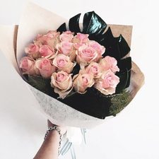 Pink Rose Perfection