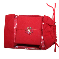 Golden Simple Dora Rakhi