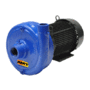 2"x 1.5" 1750rpm Heavy Duty Straight Pump