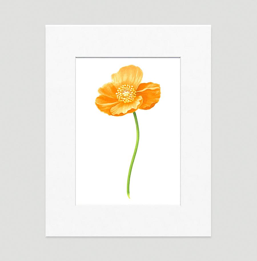 Poppy Gold Large Floral Art...