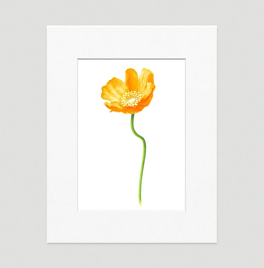 Poppy Gold Small Floral Art...