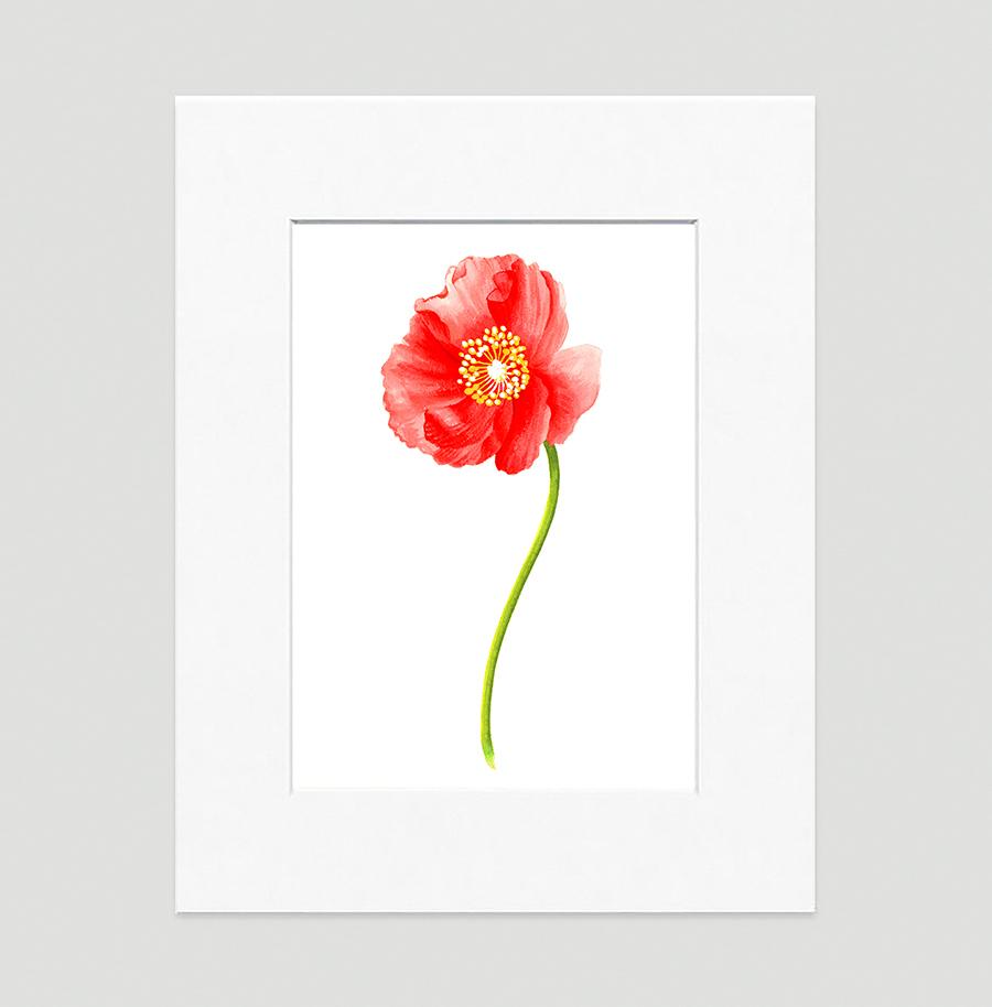 Poppy Red Floral Art Print ...