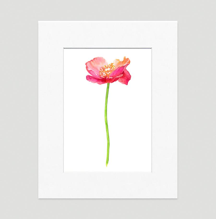 Poppy Pink Floral Art Print...