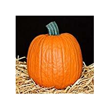 Mr. Light Joe Funkin - Size 8 inches x 8 inches - Carvable Artificial Pumpkin