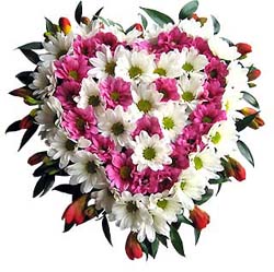 May You Be Blessed !