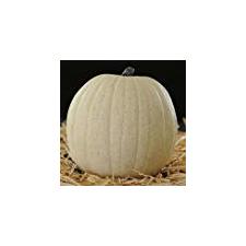 Mr. Light Walter White Funkin 8x8