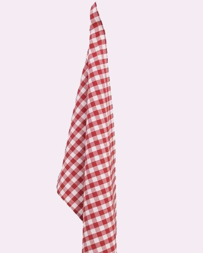 Red and White Gingham Check...