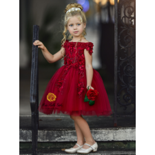 Girls Floral Applique Special Occasion Dress