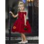 Girls Floral Applique Special Occasion Dress