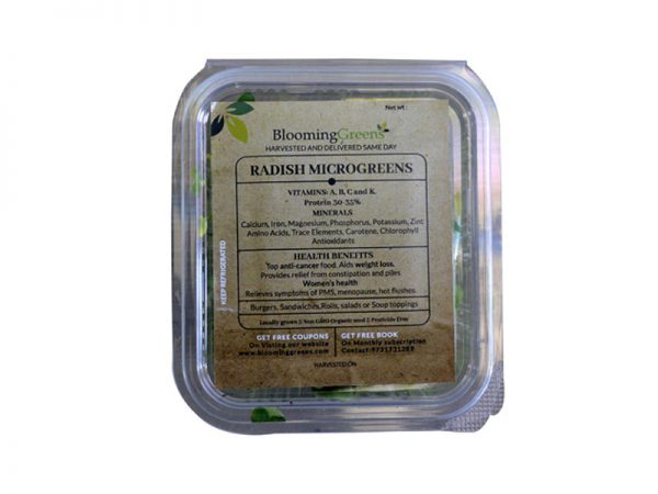 radish-microgreen