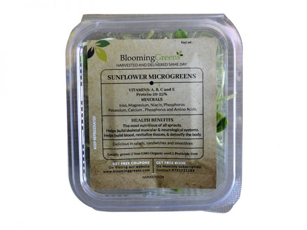 sunflower microgreens