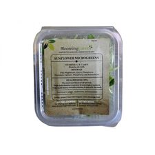 sunflower microgreens