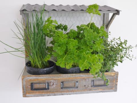 Rustic Wall Herb Planter , ...