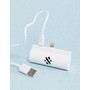 Mini Emergency iPhone Charger