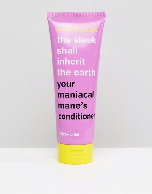 The Sleek Shall Inherit The Earth Conditioner 250ml