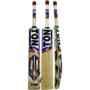 SS TON Classic English Willow Cricket Bat