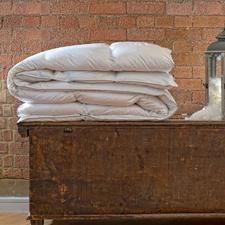 Canadian Goose Down Duvet - My Duvet and Pillow 