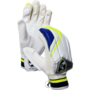 SG Ecolite Cricket Batting Gloves
