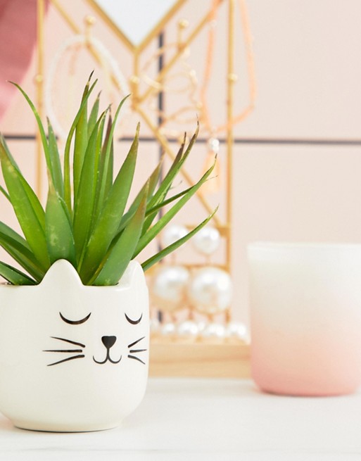 Sass & Belle mini whiskers cat plant pot