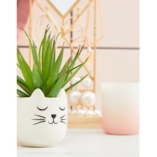 Sass & Belle mini whiskers cat plant pot