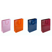Extra Small Tiny Gloss Laminated Rope Handle Paper Bags-11x15x7cm