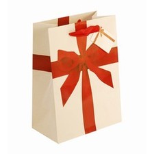 Medium Red Ribbon Paper Gift Bag