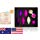 Kegel Exercise Set