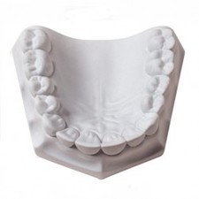 Whip mix Orthodontic Plaster Super-White Dental Plaster, 22 Kg