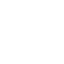 Flipkart
